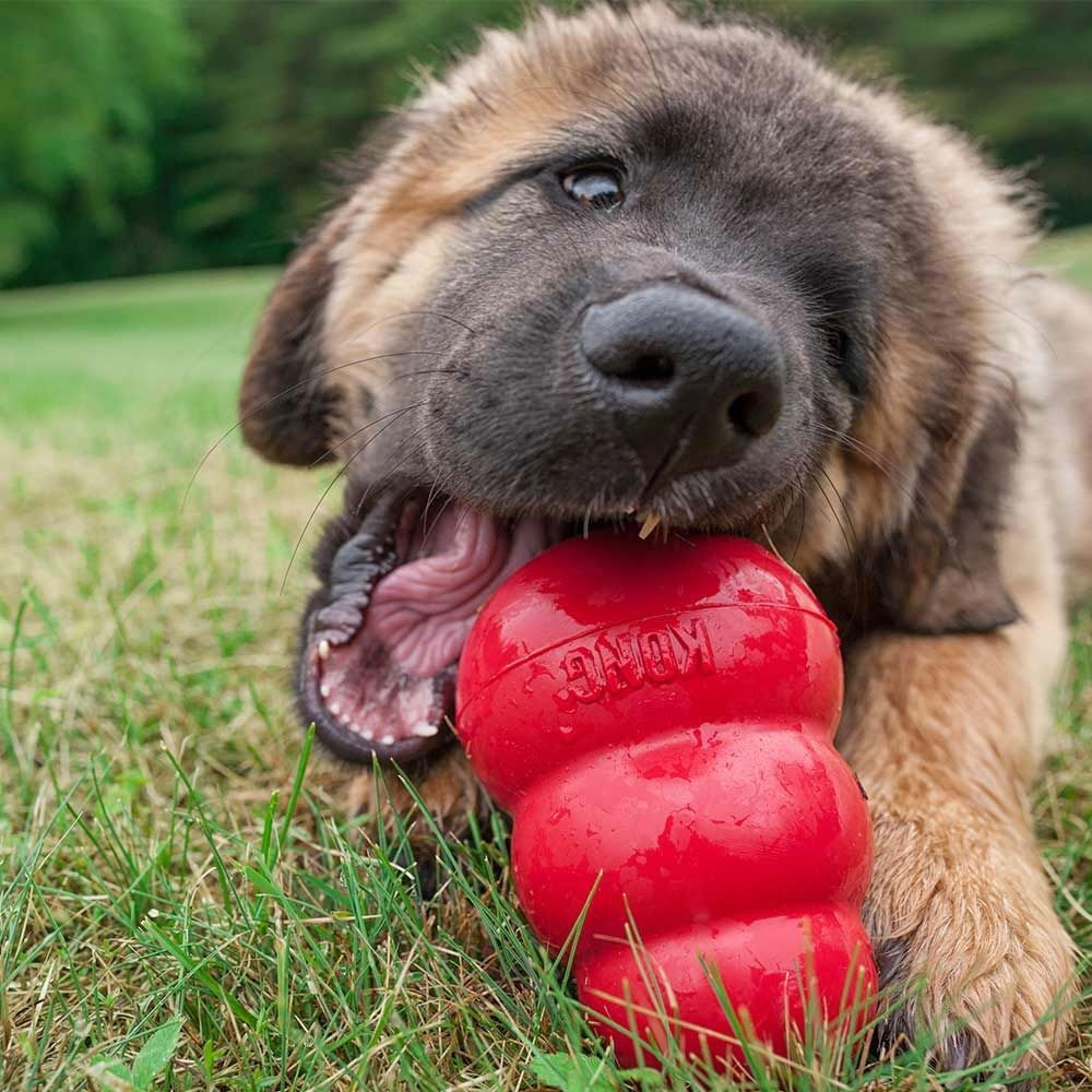 Produktfoto för KONG Classic Röd (L)